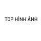 Hình đại diện người dùng