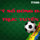 Hình đại diện người dùng