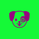Avatar de PAU QUE DÁ EM CHICO DÁ EM FRANCISCO
