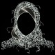A. Rinum's avatar