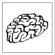 brain^3's avatar