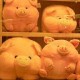 peachiestpigpen's avatar