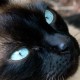Avatar de ALeja
