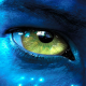 Avatar de jobougon