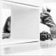 Sarah J Photography's avatar