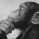Philosophical Epiphanies Avatar