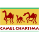camelcharisma's avatar