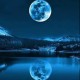Lunar Daydreams's avatar