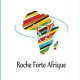 rocheforteafrique's avatar