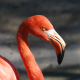 Avatar von nonesense