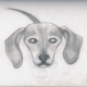 Max Vasilatos's avatar