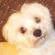 Annaleis's avatar