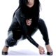 Avatar de mariasoledadcrespomedina