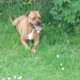 Sheba's life story.'s avatar
