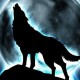 kiax100000's avatar