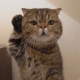 banhbao9 Avatar