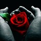 Unknown's avatar