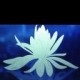 silent lotus's avatar
