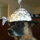 george's avatar