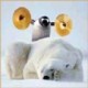 Steve L.'s avatar