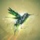71~073~'s avatar