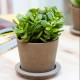 Hình đại diện người dùng