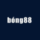 Hình đại diện người dùng