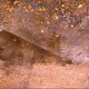 Avatar di Sconosciuto