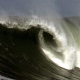 The Wave's avatar