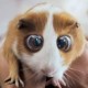 Dhita's avatar