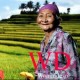 avatar wongndeso