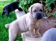 Lovely Animal Pics's avatar