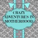 crazyadventuresinmotherhood's avatar