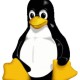 bojieli's avatar