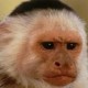 Biff Spiffy's avatar