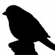 Unknown's avatar