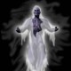 avatar wartawan biasa