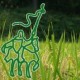 green_knight's avatar