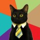 Dima's avatar