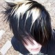 avatar zibril