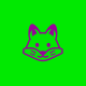 fish Avatar