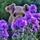 terriergal's avatar