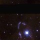 avatar dhahnd371