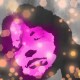 Pamela Venus's avatar