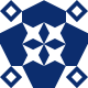 DL Shaw Avatar
