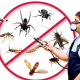 Get Pest Control