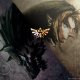 Unknown's avatar