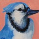 William Crain's avatar