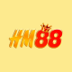 HM88's avatar