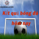 Hình đại diện người dùng